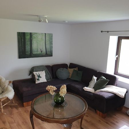 Appartamento Osteblick Oberndorf  Esterno foto